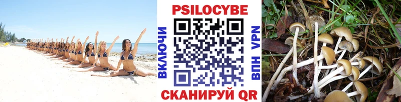 Галлюциногенные грибы ЛСД  Монино 